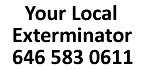 Your Local Exterminator	646 583 0611